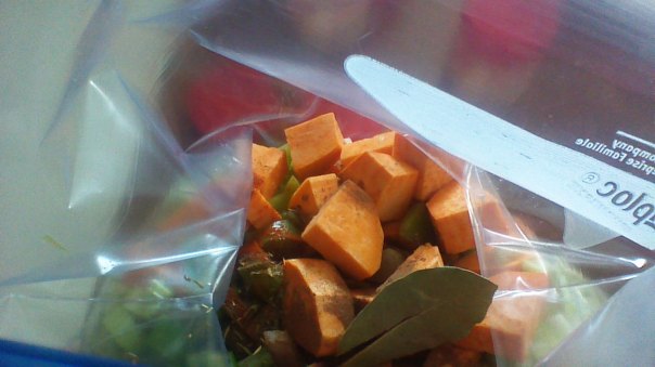 BUSYGAL - WIN_20160215_105138